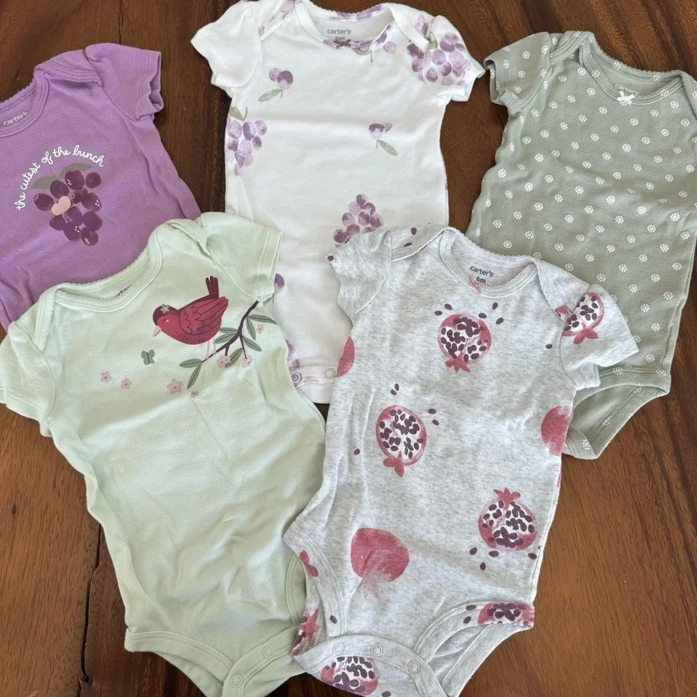 Carter’s Bundle of 5 Assorted Baby One Pieces Size 6M